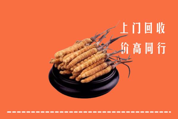 高价求购：曲靖市富源回收散虫草