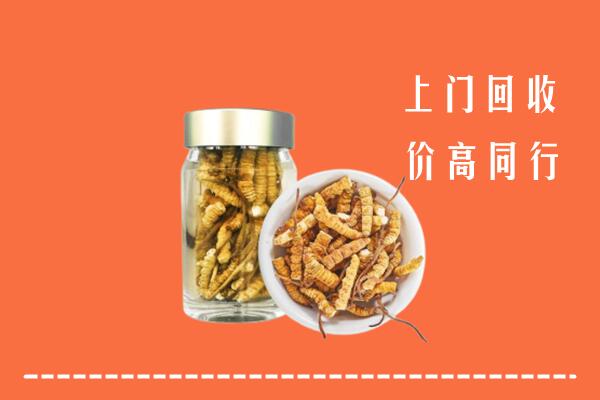 曲靖市富源回收冬虫夏草