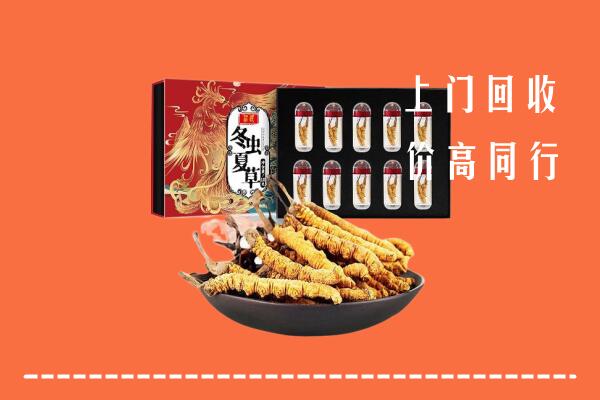 曲靖市富源回收虫草